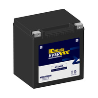 Century HD AGM Battery for BMW R100CS 1980-1984