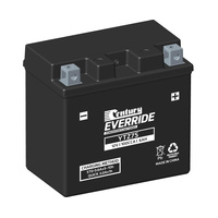 Century Hi Perf AGM Battery for Yamaha XVS250 Dragstar 2001-2007