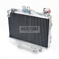 Kustom Hardware Radiator 17K-R041