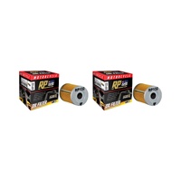 2 Pack RP Oil Filter for Suzuki Burgman 250 AN250 2003-2006