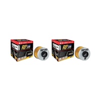 2 Pack RP Oil Filter for Aprilia 100 Scarabeo 4T 2002-2006