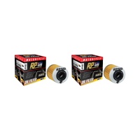 2 Pack RP Oil Filter RP560