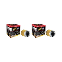 2 Pack RP Oil Filter RP651