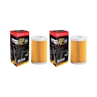 2 Pack RP Oil Filter RP655