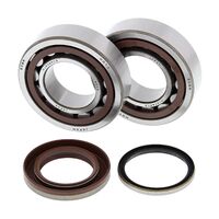 All Balls Engine Main Bearing Kit for KTM 250 SXF 2005-2012