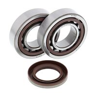 All Balls Engine Main Bearing Kit for KTM 450 XC ATV 2009