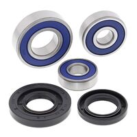 All Balls Rear Wheel Bearing Kit for KTM 390 Adv 2020-2021