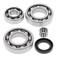 All Balls 25-2018 Diff Bearing Kit 