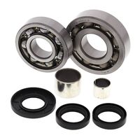 All Balls Front Diff Bearing Kit for Polaris Xpedition 325 2000-2002