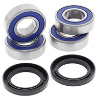 All Balls Rear Ind. Suspension Kit for Can Am COMMANDER 1000 STD 2016-2017