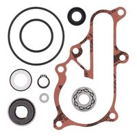 Vertex Water Pump Rebuild Kit 821923