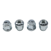 All Balls Wheel Nut Pack 85-1241