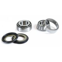 Pro X Steering Bearing Kit for GasGas Pampera 125 2002-2005