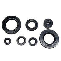 Bronco Engine Seal Kit 43.AT-09223