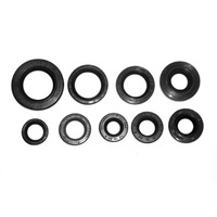 Bronco Engine Seal Kit for Honda TRX250X 1987-1988