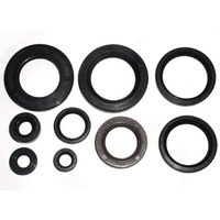 Bronco Engine Seal Kit 43.AT-09631