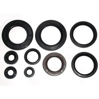 Bronco Engine Seal Kit for Suzuki LT500R QUADZILLA 1988-1990