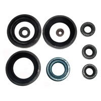 Bronco Engine Seal Kit for Suzuki LT-F4WDX KING QUAD 1991-1998