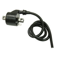 Bronco Ignition Coil  56.AT-01305