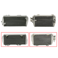 Psychic Radiator Pair 67.XD-10039