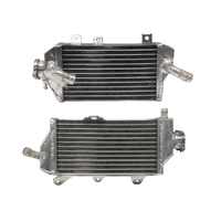 Psychic Radiator Pair 67.XD-10094