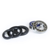 Pro X Wheel Bearing Kit 25.23.S110017