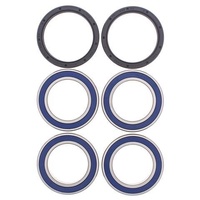 Pro X Rear Wheel Bearing Kit for Can Am DS 450 STD/X 2008-2009 