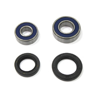 Bronco Front Wheel Bearing Kit for Honda TRX250EX/X 2001-2017 