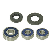 Psychic Wheel Bearing Kit 25.MX-06280