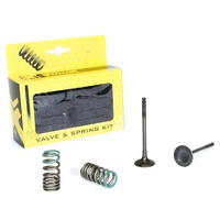 Pro X Valve/Spring Kit 28.SES2402-1