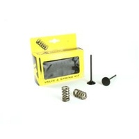 Pro X Exhaust Valve & Spring Kit for Yamaha WR250 F 2015-2019
