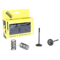 Pro X Exhaust Valve & Spring Kit for Yamaha YFZ450 R 2009-2025