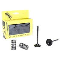 Pro X Valve/Spring Kit 28.SES2440-1