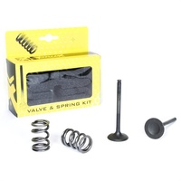 Pro X Valve/Spring Kit 28.SES3407-1