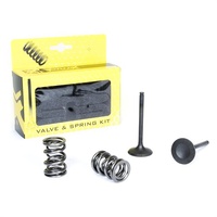 Pro X Exhaust Valve & Spring Kit for Kawasaki KX450 F 2009-2018