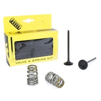 Pro X Exhaust Valve & Spring Kit for KTM 250 XC-F 2007