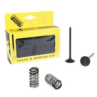 Pro X Exhaust Valve & Spring Kit for KTM 250 XCF-W 2008-2013