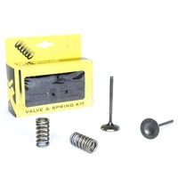 Pro X Intake Valve & Spring Kit for Honda CRF250 R 2008-2009