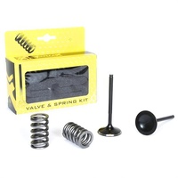 Pro X Valve/Spring Kit 28.SIS1405-2