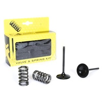 Pro X Valve/Spring Kit 28.SIS1409-2