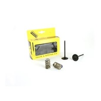 Pro X Intake Valve & Spring Kit for Yamaha WR250 F 2015-2019
