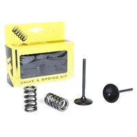 Pro X Intake Valve & Spring Kit for Yamaha YZ450 F 2010-2013