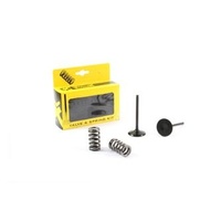 Pro X Valve/Spring Kit 28.SIS2444-2