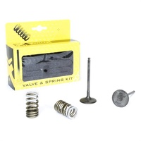 Pro X Valve/Spring Kit 28.SIS3338-2