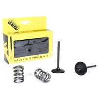 Pro X Intake Valve & Spring Kit for Suzuki LT-R 450 2006-2011