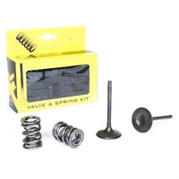 Pro X Valve/Spring Kit 28.SIS4409-2