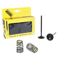 Pro X Intake Valve & Spring Kit for KTM 250 EXC-F 2007