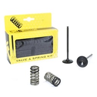Pro X Intake Valve & Spring Kit for KTM 250 EXC-F 2008-2013
