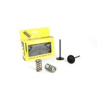Pro X Intake Valve & Spring Kit for KTM 350 XC-F 2013-2015