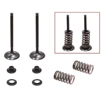 Psychic Valve, Spring & Retainer Kit 28.XU-09541EK